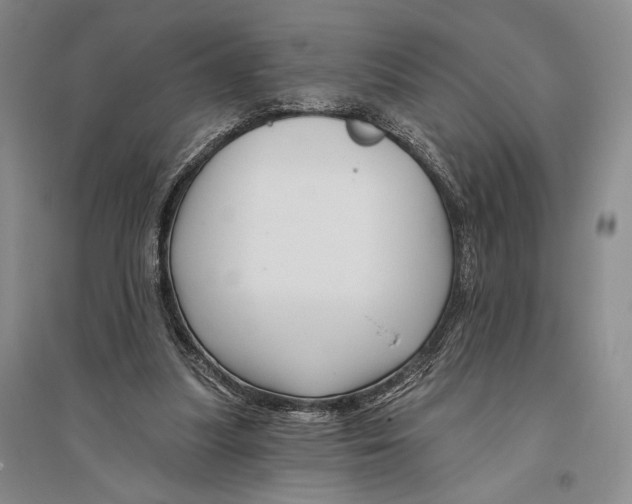 X0000096190251200802151509