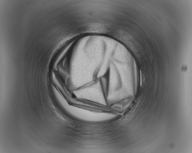 X0000096190252200802151509