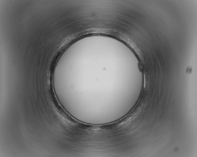 X0000096190253200802151509