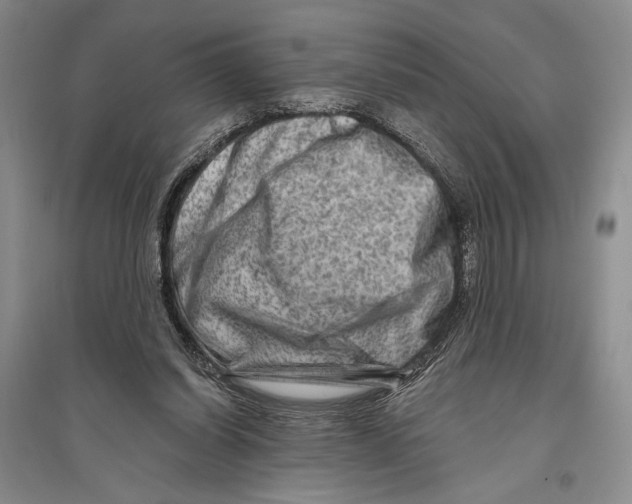 X0000096190254200802151509