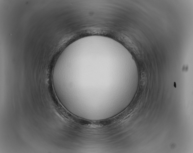 X0000096190255200802151509