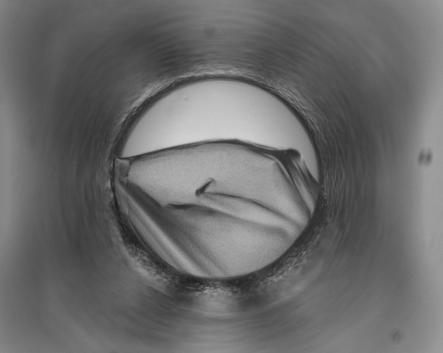 X0000096190256200802151509