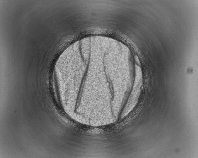 X0000096190257200802151509