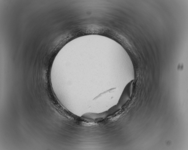 X0000096190258200802151509