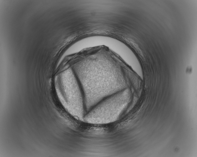 X0000096190260200802151509