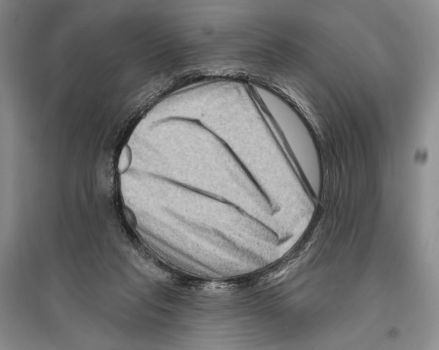 X0000096190261200802151509