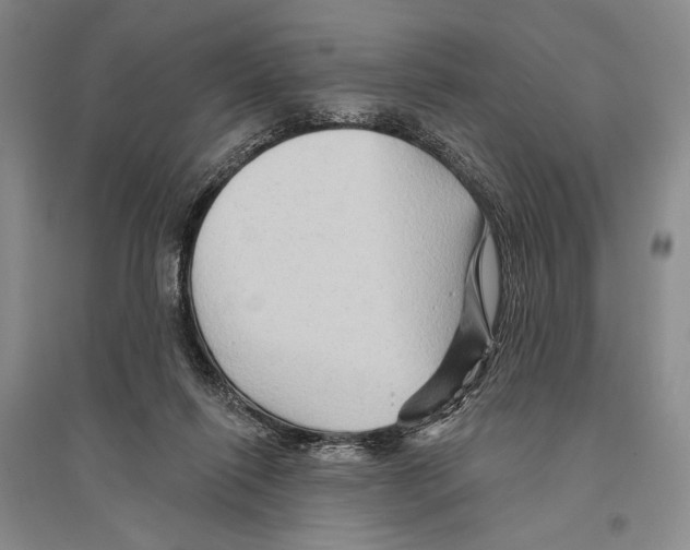 X0000096190262200802151509