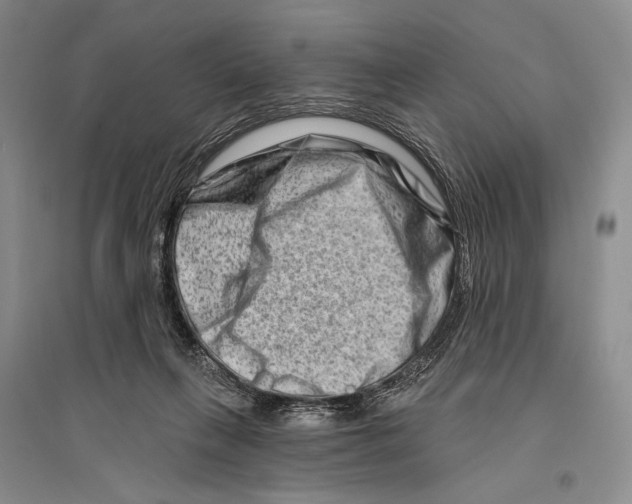 X0000096190263200802151509