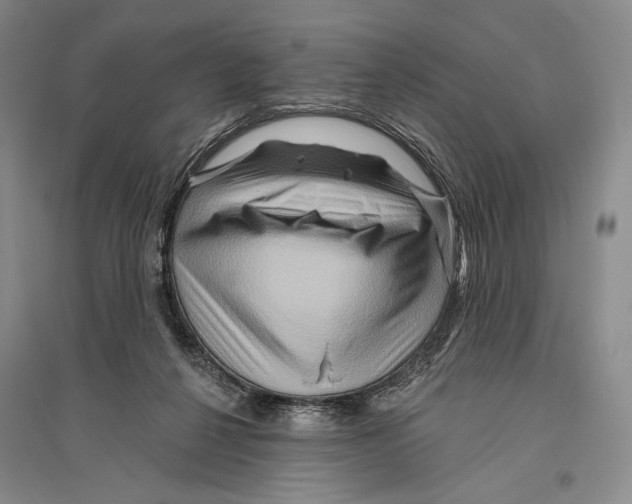 X0000096190264200802151509