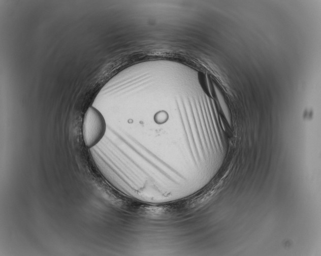 X0000096190265200802151509