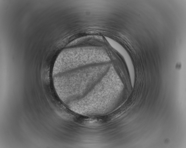 X0000096190267200802151509