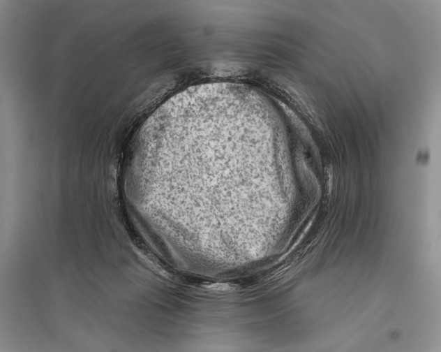 X0000096190269200802151509