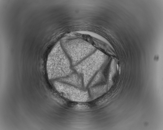 X0000096190270200802151509