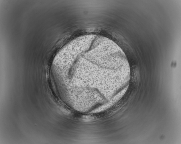 X0000096190272200802151510