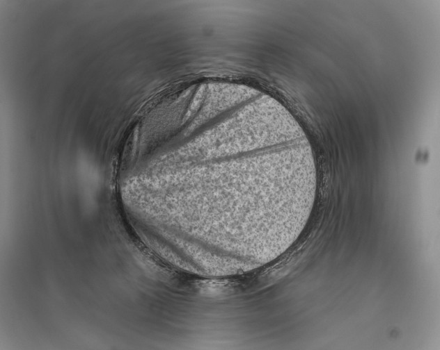 X0000096190273200802151510