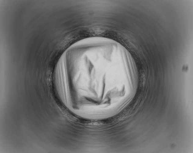 X0000096190274200802151510