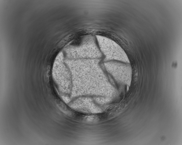 X0000096190275200802151510