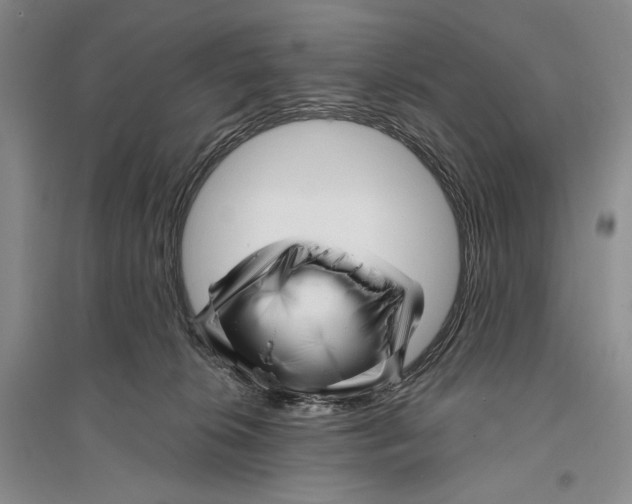 X0000096190276200802151510