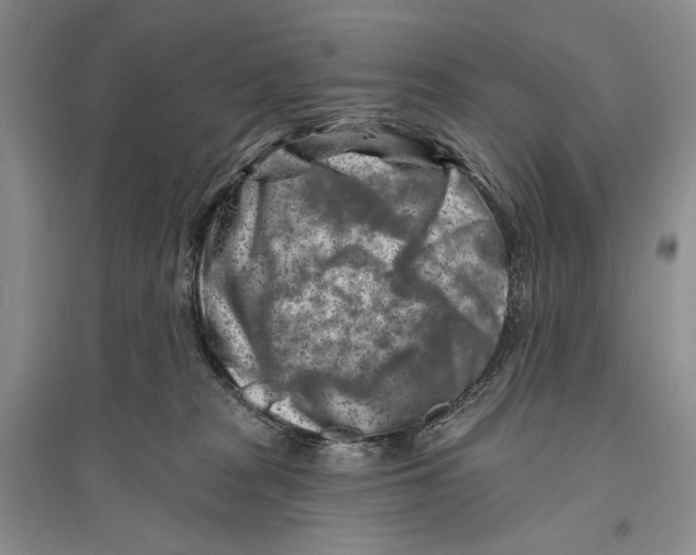 X0000096190277200802151510