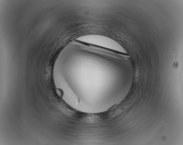 X0000096190278200802151510