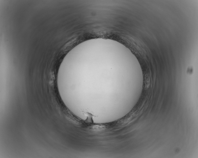 X0000096190279200802151510