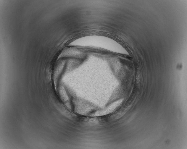 X0000096190282200802151510