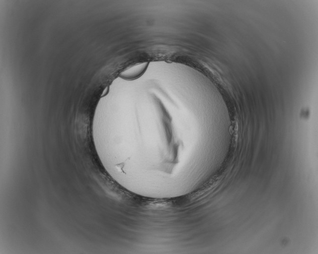 X0000096190283200802151510