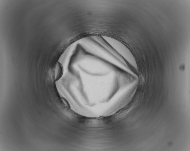 X0000096190286200802151510