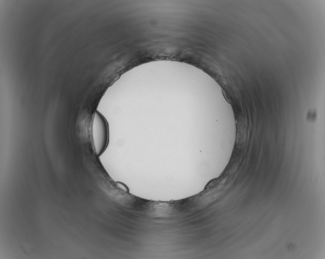 X0000096190287200802151510