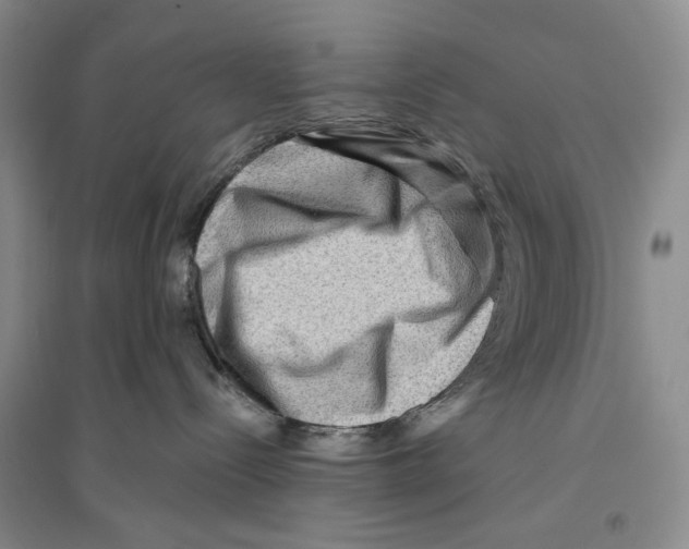 X0000096190288200802151510