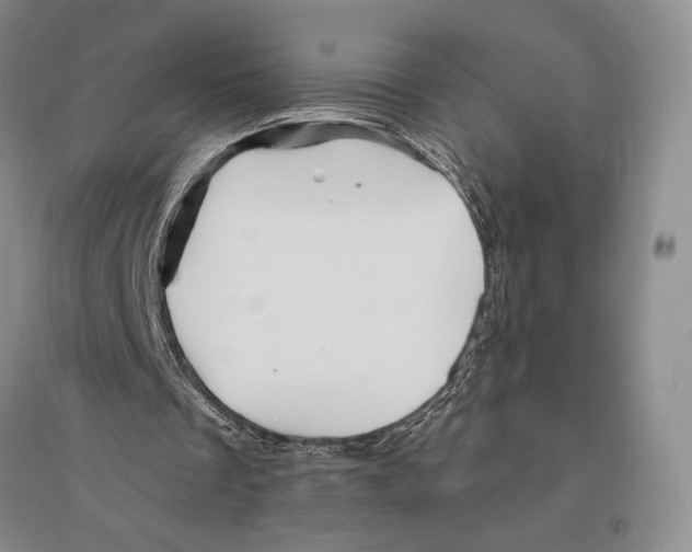 X0000096190289200802151509