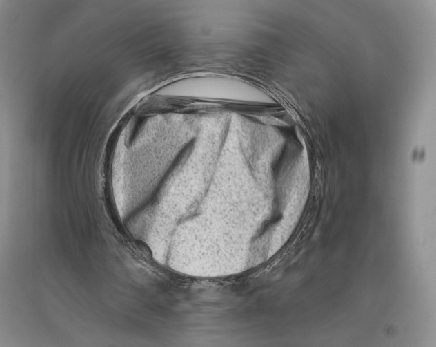 X0000096190290200802151509