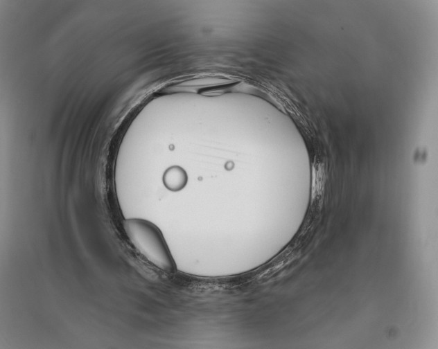 X0000096190291200802151509