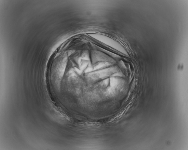 X0000096190292200802151509