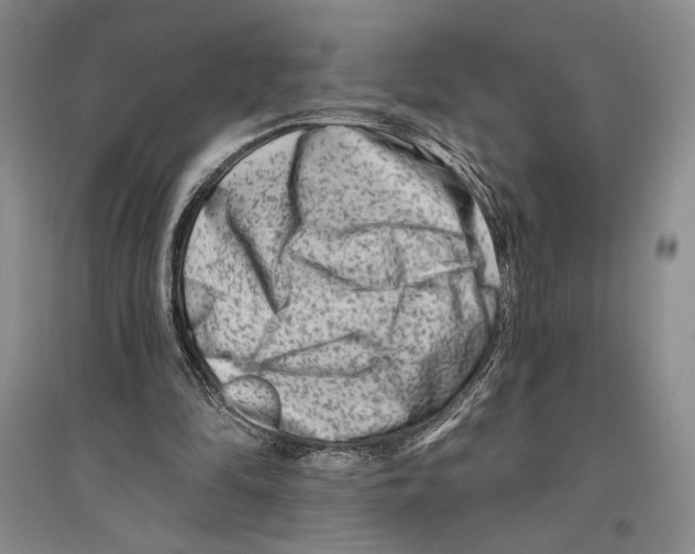 X0000096190294200802151509