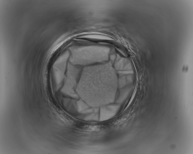 X0000096190295200802151509