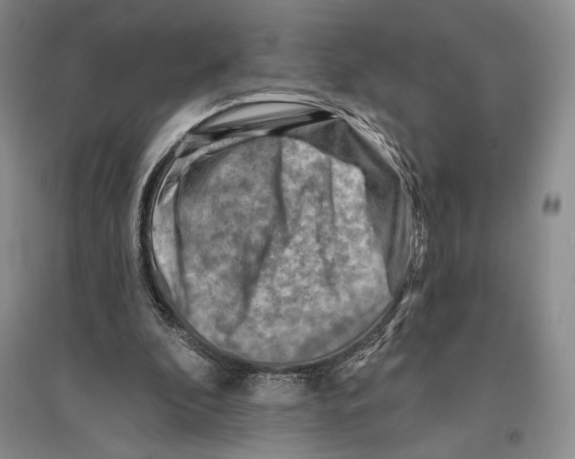 X0000096190296200802151509