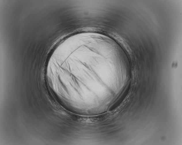 X0000096190297200802151509