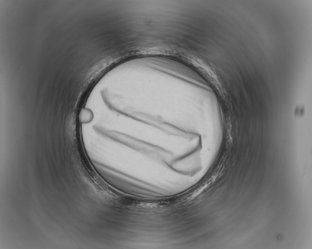 X0000096190298200802151509