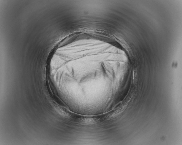 X0000096190301200802151509