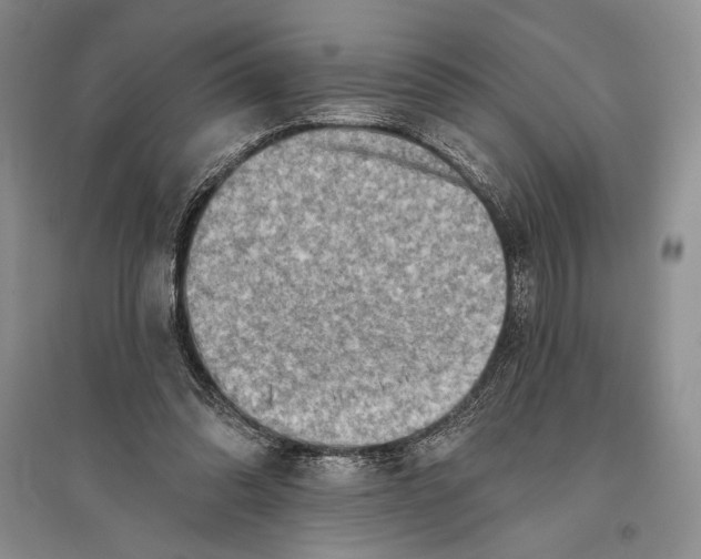 X0000096190302200802151509