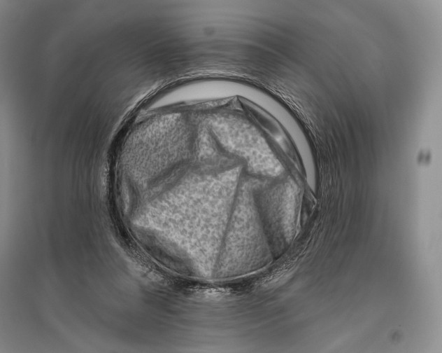 X0000096190304200802151509