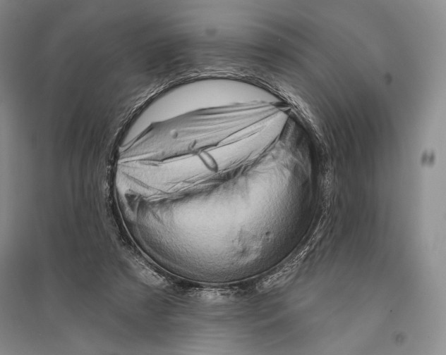 X0000096190305200802151509