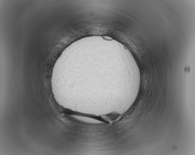 X0000096190307200802151509