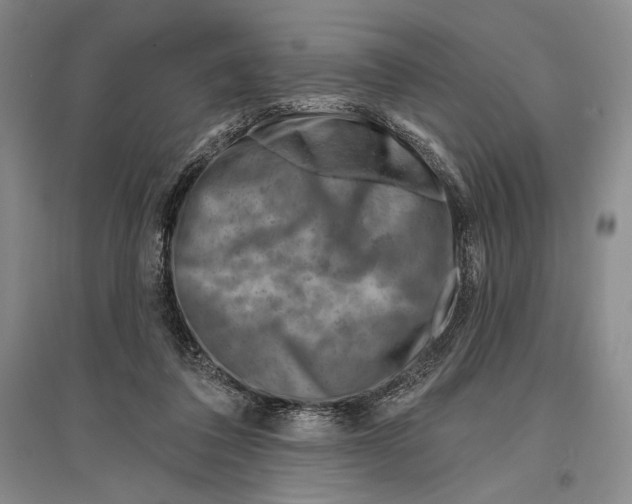 X0000096190308200802151509