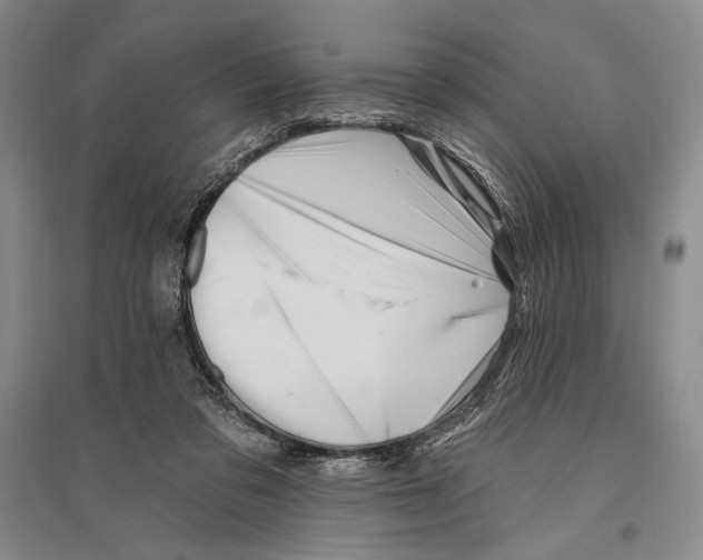 X0000096190309200802151509