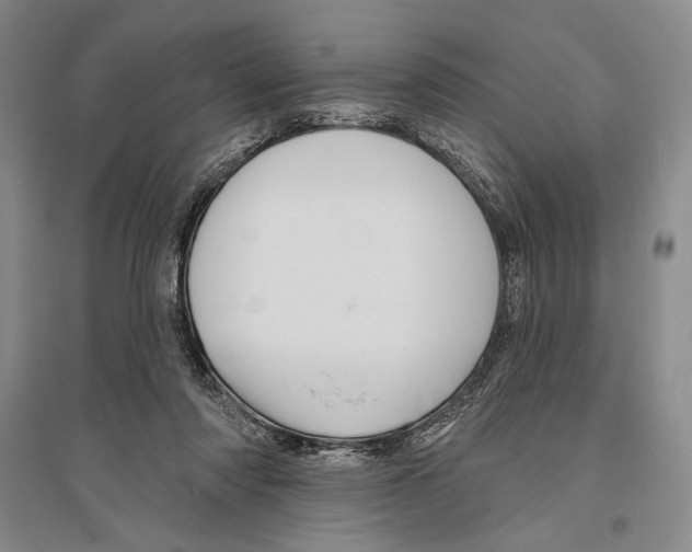 X0000096190310200802151509