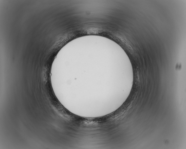 X0000096190311200802151509