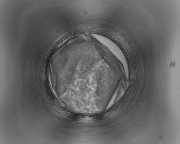 X0000096190312200802151509