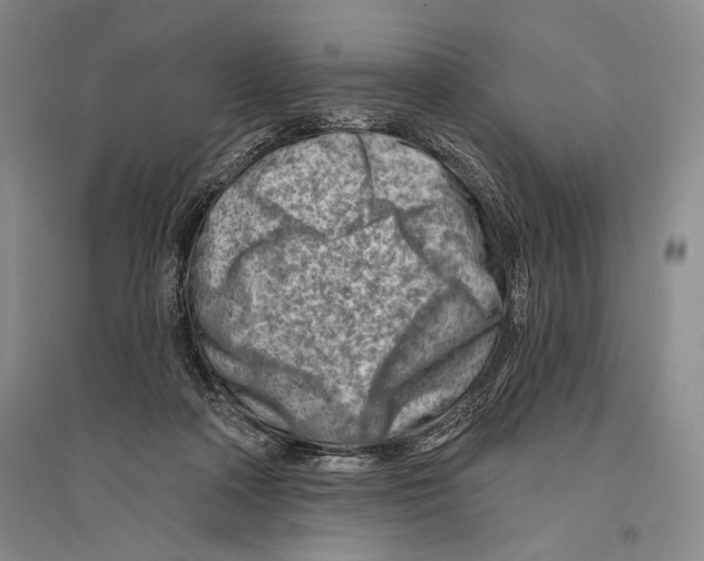 X0000096190314200802151509